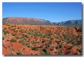 Onion_Creek_19