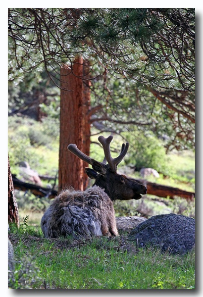 Rocky_Mountains_03.jpg