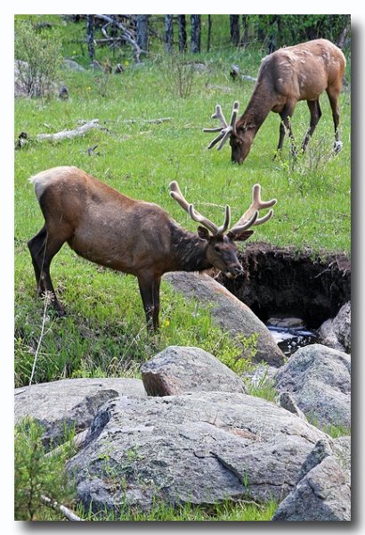 Rocky_Mountains_16.jpg