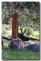 Rocky_Mountains_03