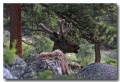 Rocky_Mountains_05