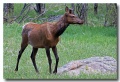 Rocky_Mountains_18
