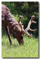 Rocky_Mountains_19