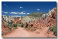 Cottonwood_CR